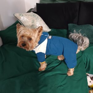 Salopeta cu gluga, Imblanita, Impermeabila, Inel pentru lesa, Neagra #HC1589 photo review