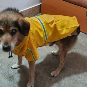 Pelerina pentru caini de talie mare, Gluga, Portocalie #HM064 photo review