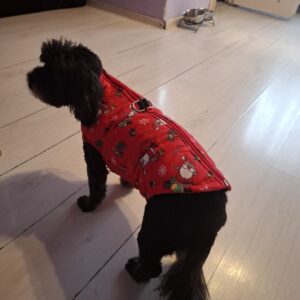 Vesta impermeabila, inchidere cu fermoar, inel pentru lesa #HC1903 photo review