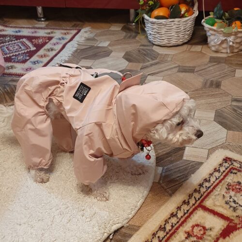 Pelerina Ploaie Pentru Catei, Roz #HC351 photo review