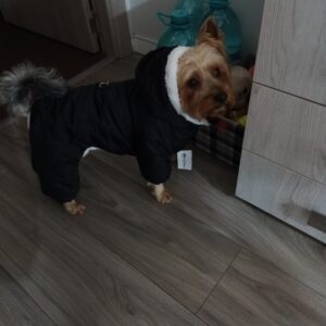 Salopeta cu gluga, Imblanita, Impermeabila, Inel pentru lesa, Neagra #HC1589 photo review