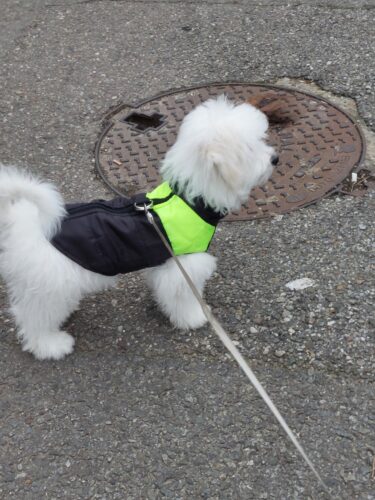 Vesta impermeabila - Verde/Negru #HC912 photo review