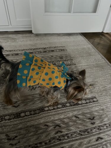 Rochita cu buline + Lesa #HC1058 photo review