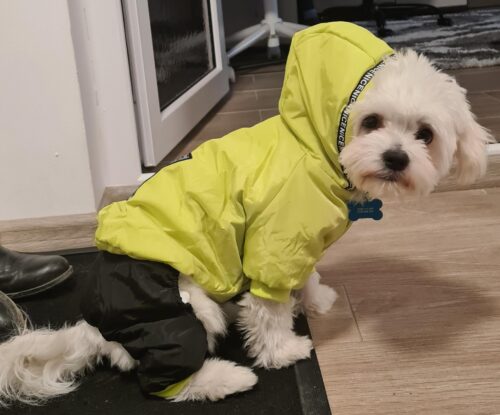 Salopeta cu gluga, imblanita, impermeabila - Verde #HC653 photo review