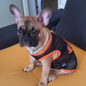 Tricou din plasa #HC1131 photo review