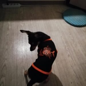 Tricou din plasa #HC1131 photo review