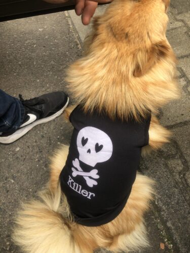 Tricou pentru catei - Killer - #HC1127 photo review