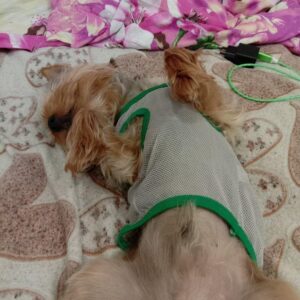 Tricou din plasa - My Bone #HC1130 photo review