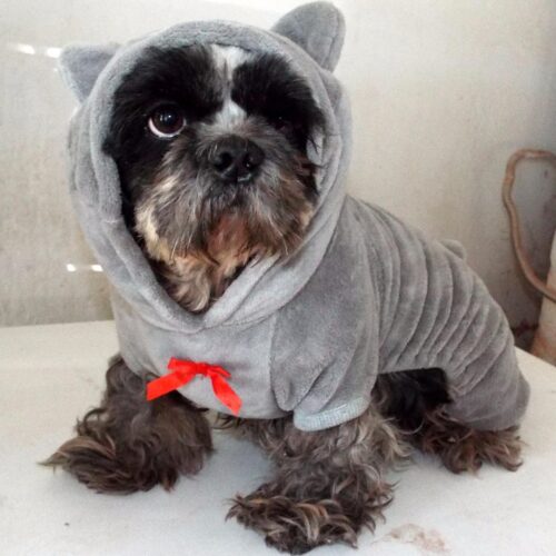 Salopeta Pufoasa Cocolino - Ursulet - Gri #HC353 photo review