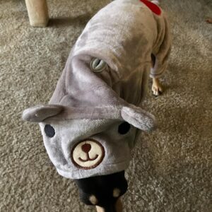 Salopeta Pufoasa Cocolino - Ursulet - Gri #HC353 photo review