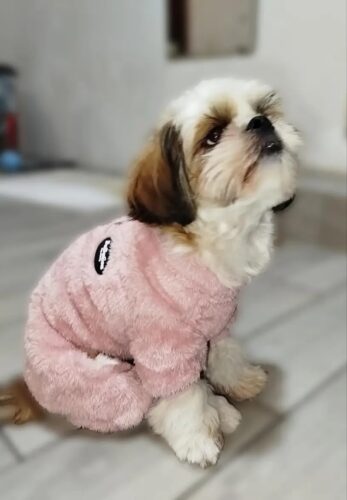 Salopeta pufoasa cu inel pentru lesa, Roz #HC1321 photo review