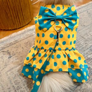 Rochita cu buline + Lesa #HC1058 photo review