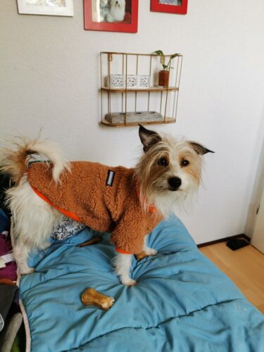 Bluza Pufoasa - Maro #HC848 photo review