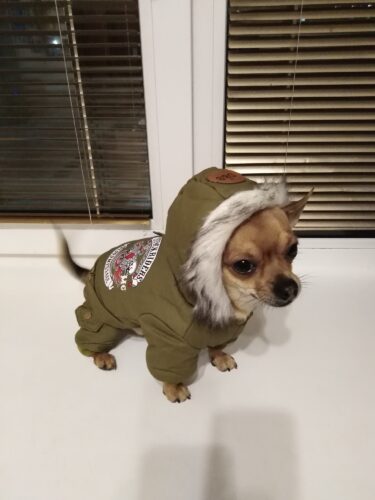 Salopeta Stockriders, gluga, imblanita, verde, #HC074 photo review