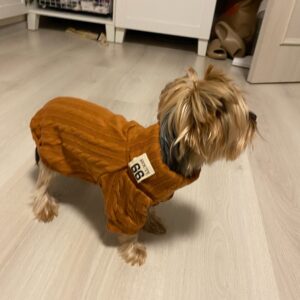 Pulover Tricotat, Crem #HC624 photo review