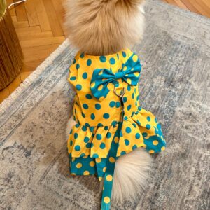 Rochita cu buline + Lesa #HC1058 photo review