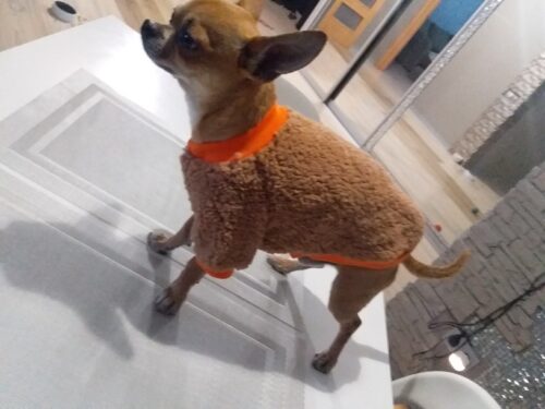 Bluza Pufoasa - Maro #HC848 photo review