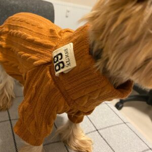 Pulover Tricotat, Crem #HC624 photo review