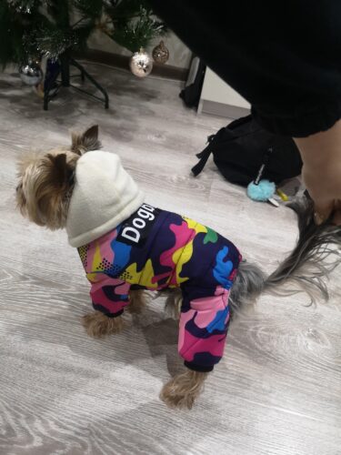 Salopeta impermeabila, imblanita, gluga #HC742 photo review