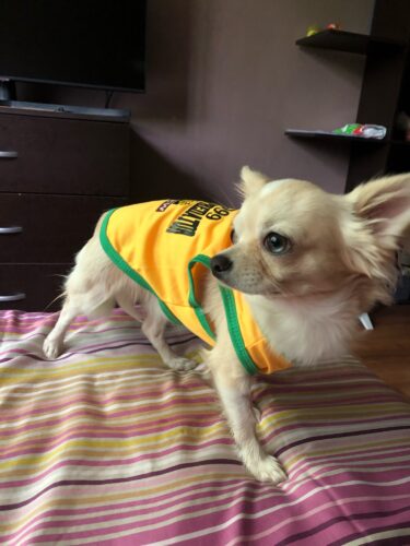 Tricou Baschet #HC1219 photo review