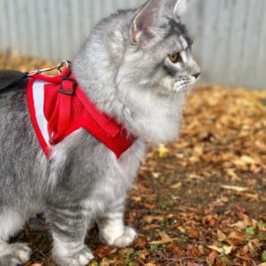 Set Ham + Lesa - Rosu #HH07 photo review