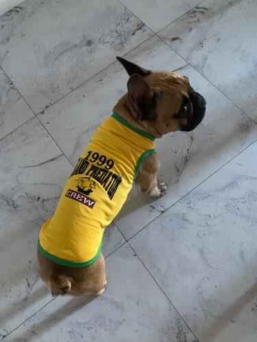 Tricou Baschet #HC1219 photo review