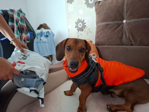 Vesta Impermeabila, Ham incorporat #HC2016 photo review