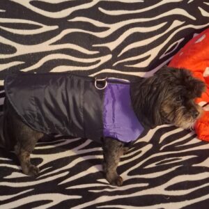 Vesta impermeabila - Mov/Negru #HC915 photo review