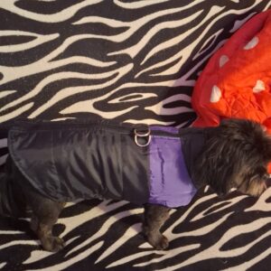 Vesta impermeabila - Mov/Negru #HC915 photo review