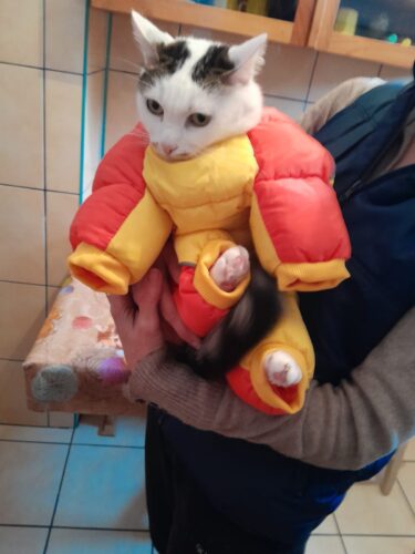 Salopeta Full Body - Impermeabila - Galben/Portocaliu #HC344 photo review