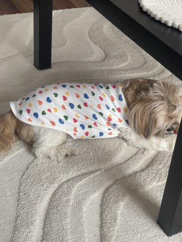 Tricou alb cu inimioare #HC1061 photo review