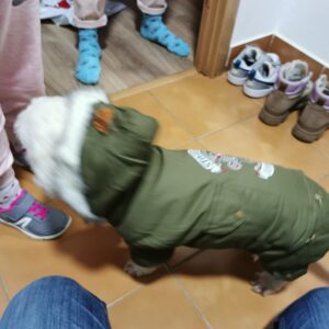 Salopeta Stockriders, gluga, imblanita, verde, #HC074 photo review