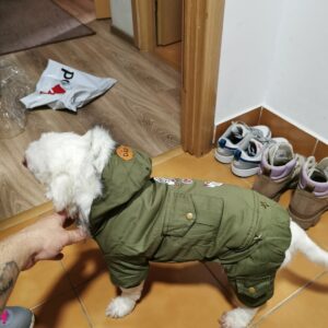 Salopeta Stockriders, gluga, imblanita, verde, #HC074 photo review