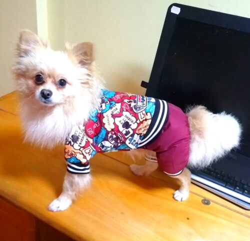 Salopeta imblanita pentru caini, Ilustratii Bitz, Mov #HC1809 photo review