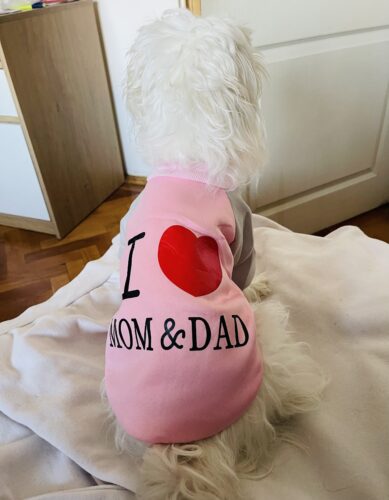 Bluza "I love Mom&Dad", Roz #HC566 photo review