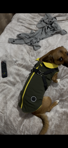 Vesta Impermeabila, Imblanita + Ham incorporat - Kaki #HC1583 photo review