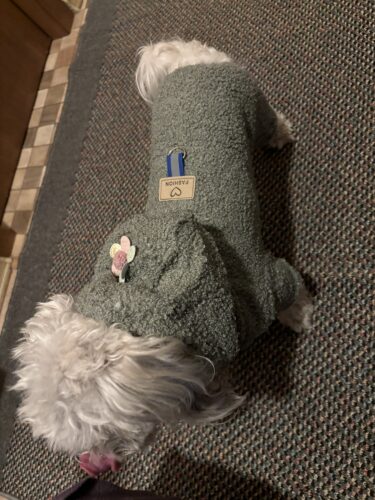 Salopeta imblanita cu Gluga, Flower, Verde #HC1389 photo review