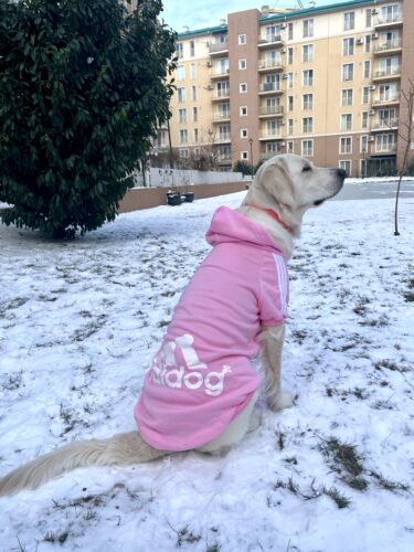 Hanorac cu Gluga pentru caine de talie mare, Adidog, Roz #HM140 photo review