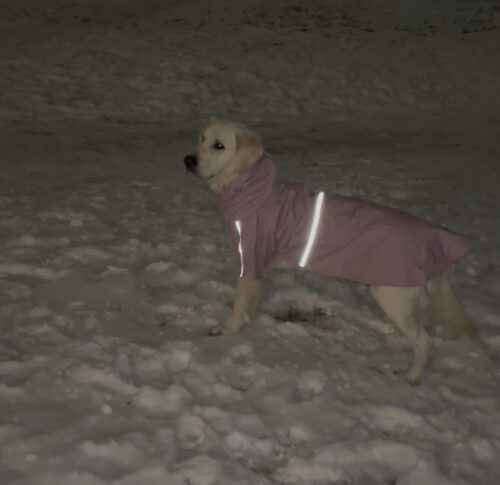 Pelerina pentru caini de talie mare, Gluga, Roz #HM062 photo review