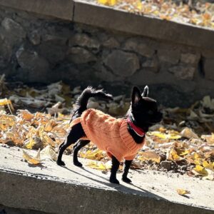 Pulover Tricotat, Portocaliu #HC398 photo review