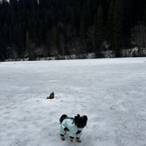 Salopeta Imblanita, Impermeabila, Inel Pentru Lesa HC1758-1764 photo review