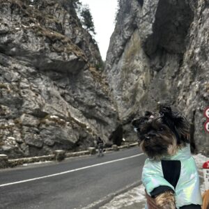 Salopeta Imblanita, Impermeabila, Inel Pentru Lesa HC1758-1764 photo review