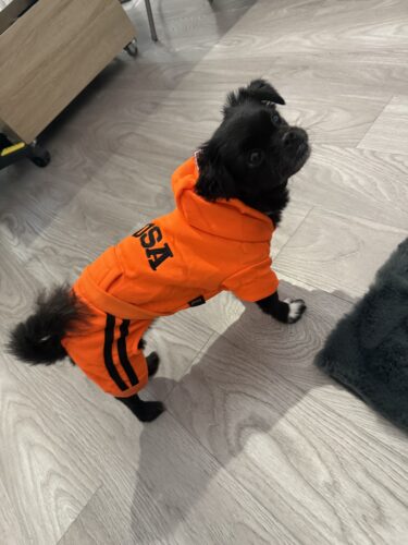 Hanorac caini talie mare, imblanit, USA - Rosu #HM048 photo review