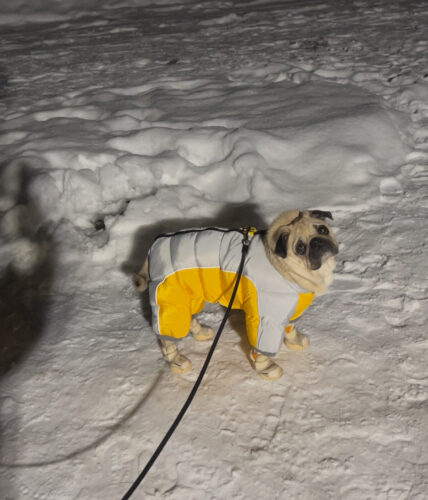 Salopeta Full Body - Impermeabila - Galben/Gri #HC341 photo review