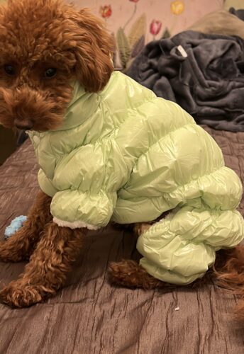 Salopeta verde, imblanita, impermeabila #HC635 photo review