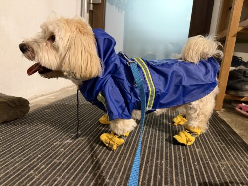 Pelerina pentru caini de talie mare, Gluga, Roz #HM062 photo review