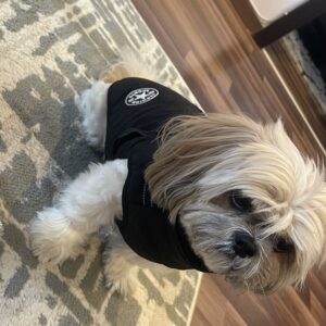 Vesta Impermeabila, Imblanita + Ham incorporat - Neagra #HC387 photo review