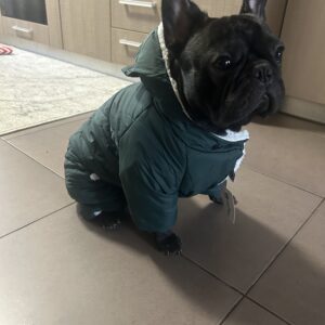 Salopeta cu gluga, Imblanita, Impermeabila, Inel pentru lesa, Verde #HC1587 photo review