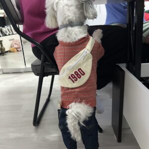 Salopeta de blugi cu Hanorac Portocaliu si Borseta #HC1098 photo review