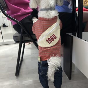 Salopeta de blugi cu Hanorac Portocaliu si Borseta #HC1098 photo review